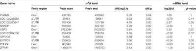 Integrated Study of Transcriptome-wide m6A Methylome Reveals Novel Insights Into the Character and Function of m6A Methylation During Yak Adipocyte Differentiation